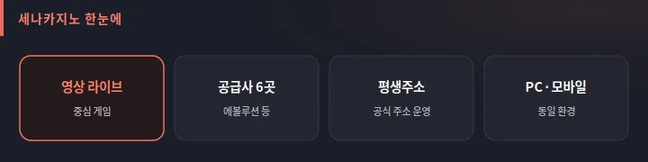 세나카지노 핵심 한눈에 도식: 영상 라이브 중심, 공급사 여섯 곳, 평생주소 운영, PC와 모바일 동일 환경