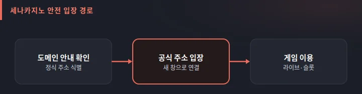 세나카지노 안전 입장 경로 도식: 도메인 안내로 정식 주소를 확인하고 공식 주소로 입장해 게임을 이용하는 흐름